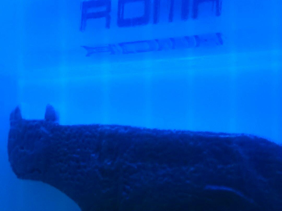 冰吧-罗马必去景点