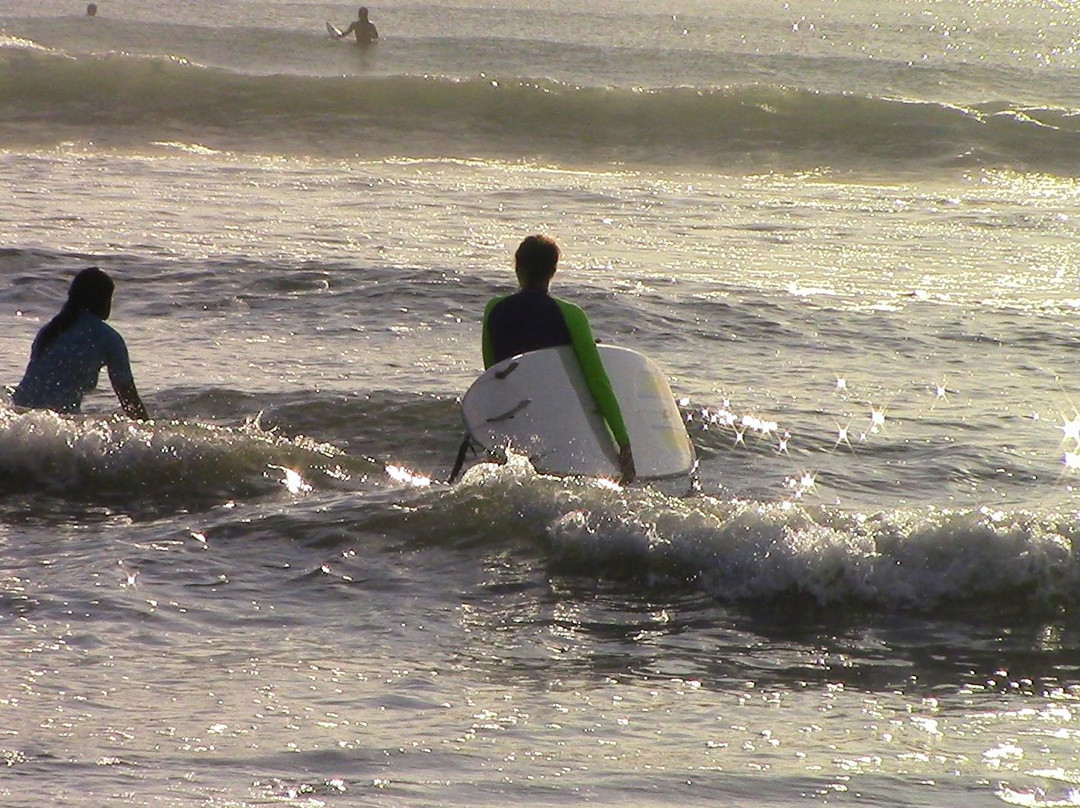 Surf Bikini Retreat景点图片