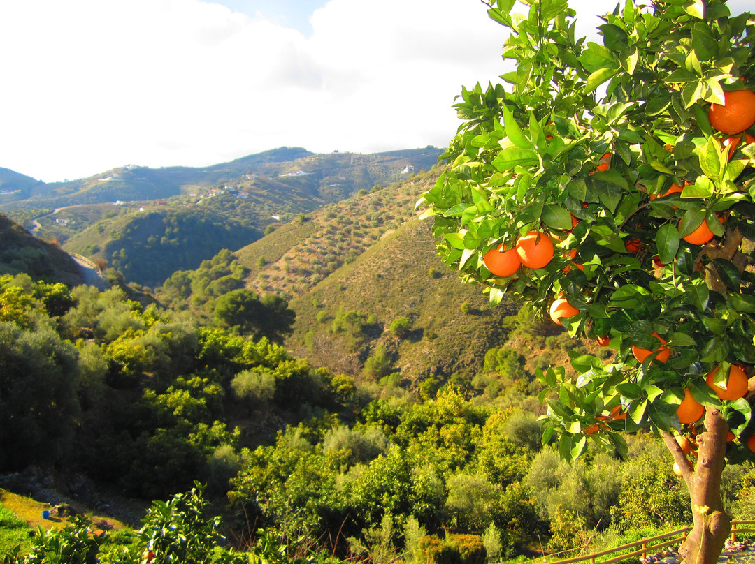 Finca Floretta主图