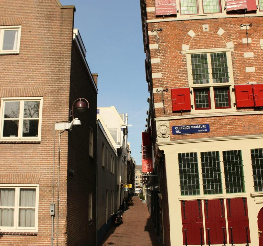 Everyday Walking Tours-阿姆斯特丹必去景点