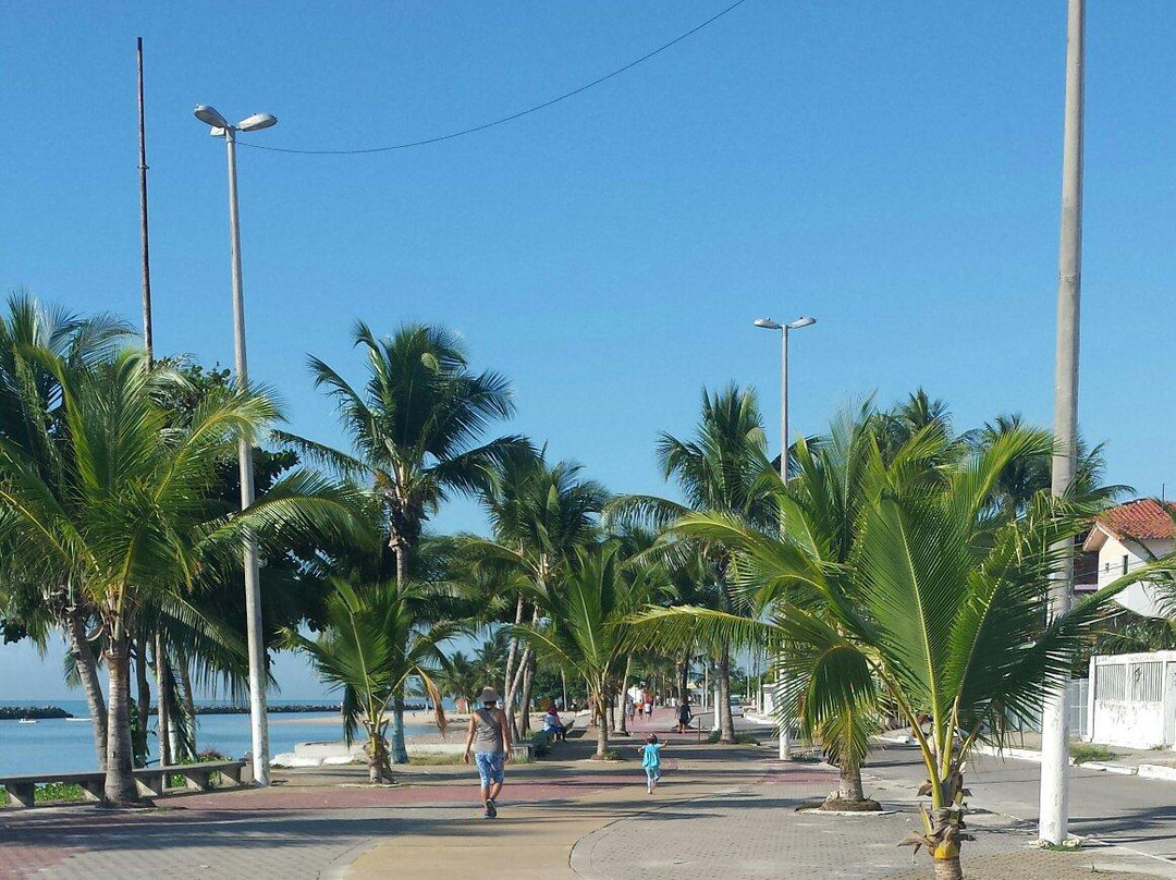 Praia do Janga景点图片