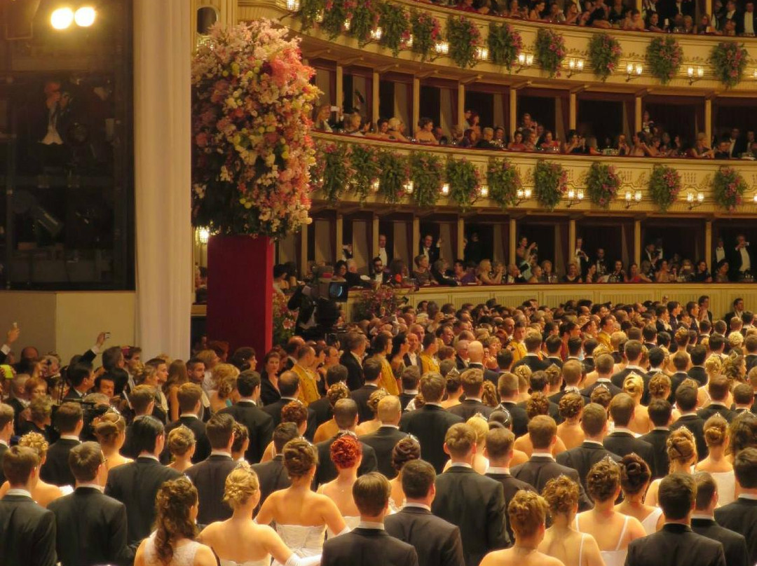 Tanzschule Svabek die Wiener Opernball Tanzschule-维也纳必去景点
