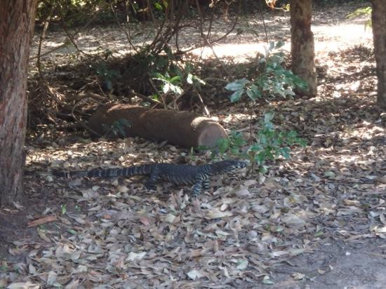 Kioloa旅游攻略图片