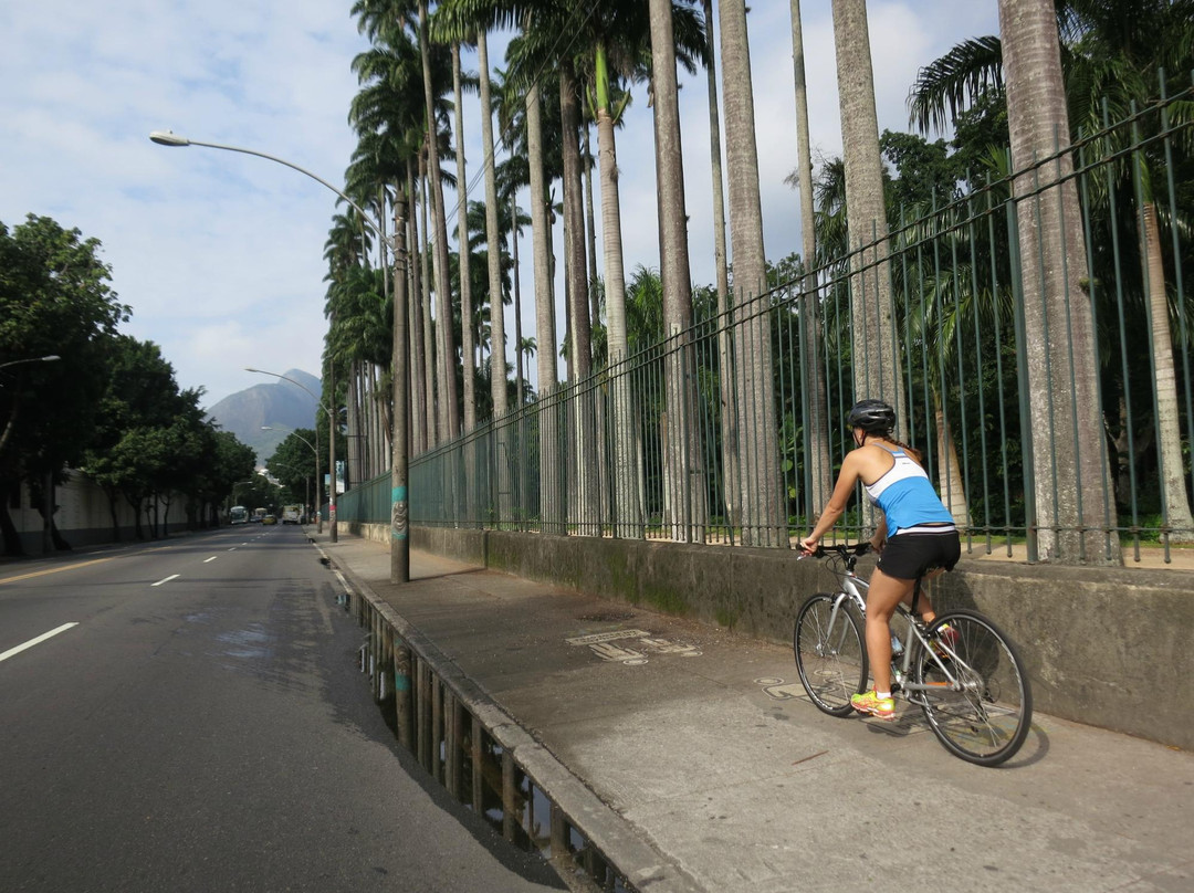 Cyclin Rio-奥比都斯必去景点