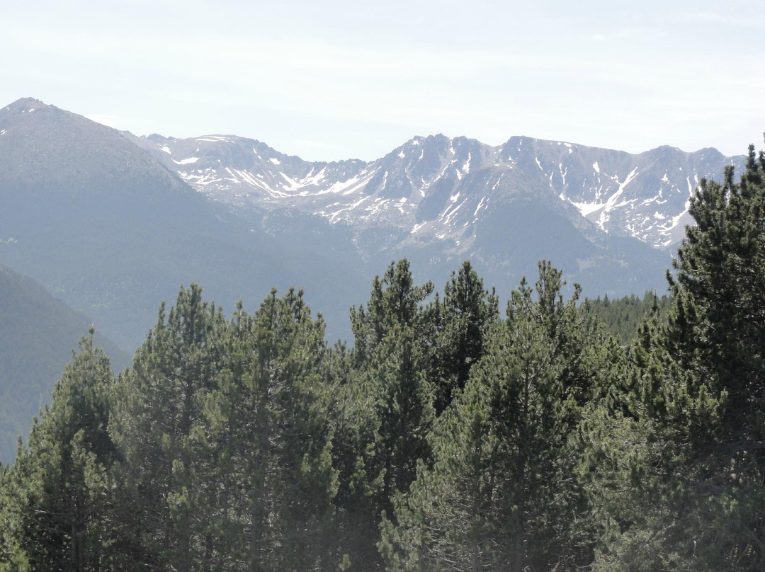 Sub-Alpine Flora and Fauna Trail-Ordino必去景点