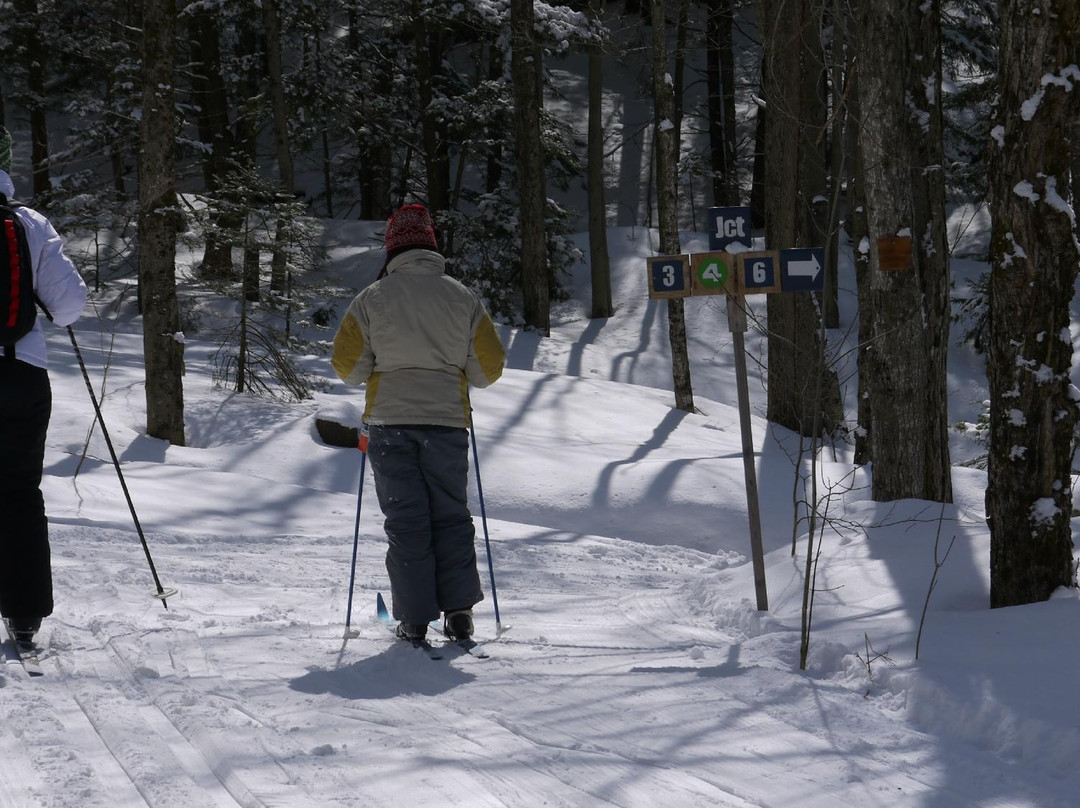 Plein Air Sutton-Sutton必去景点