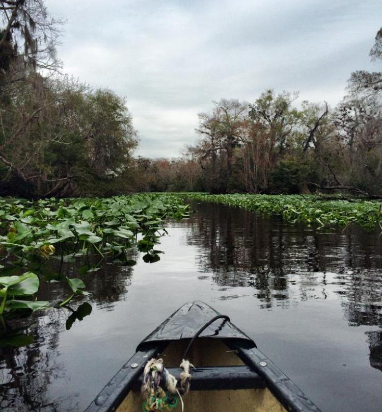 Wekiva Island-Longwood必去景点