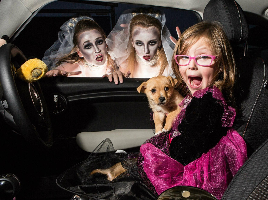 Movie Junction-Carrigtwohill必去景点