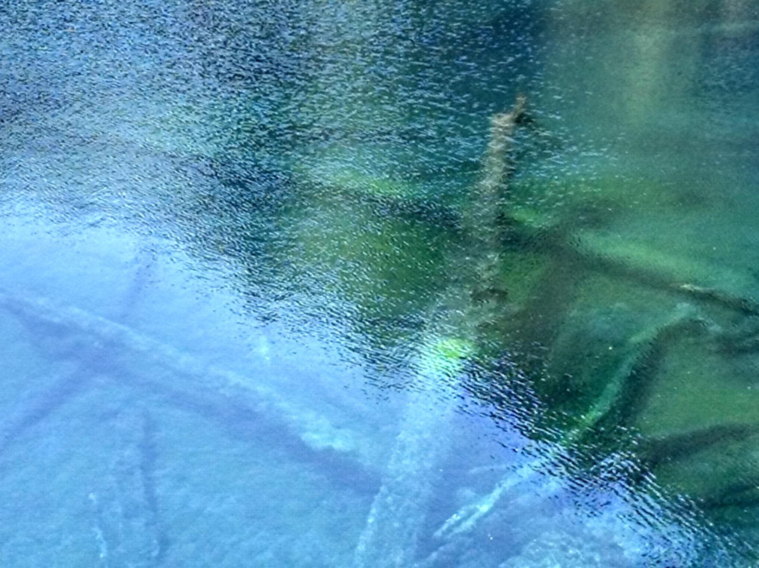 Parque Nacional Conguillio-Melipeuco必去景点