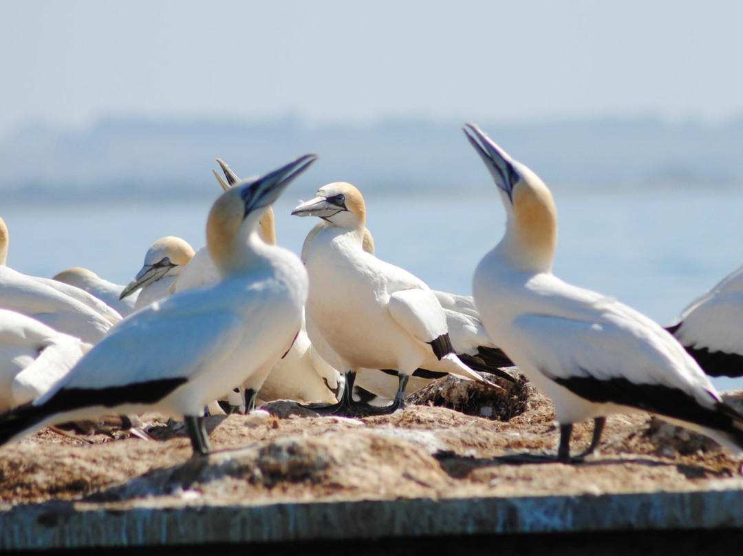 Pope's Eye-皇后崖必去景点