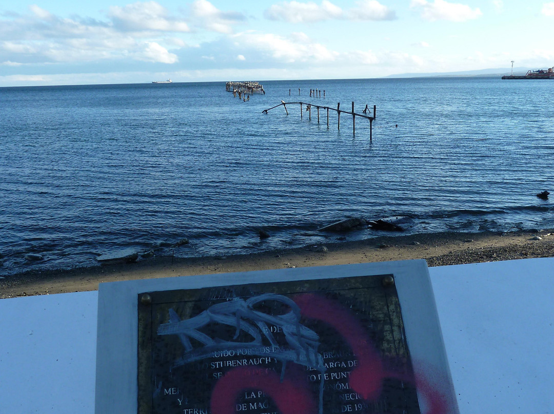 Muelle de Carga-蓬塔阿雷纳斯必去景点