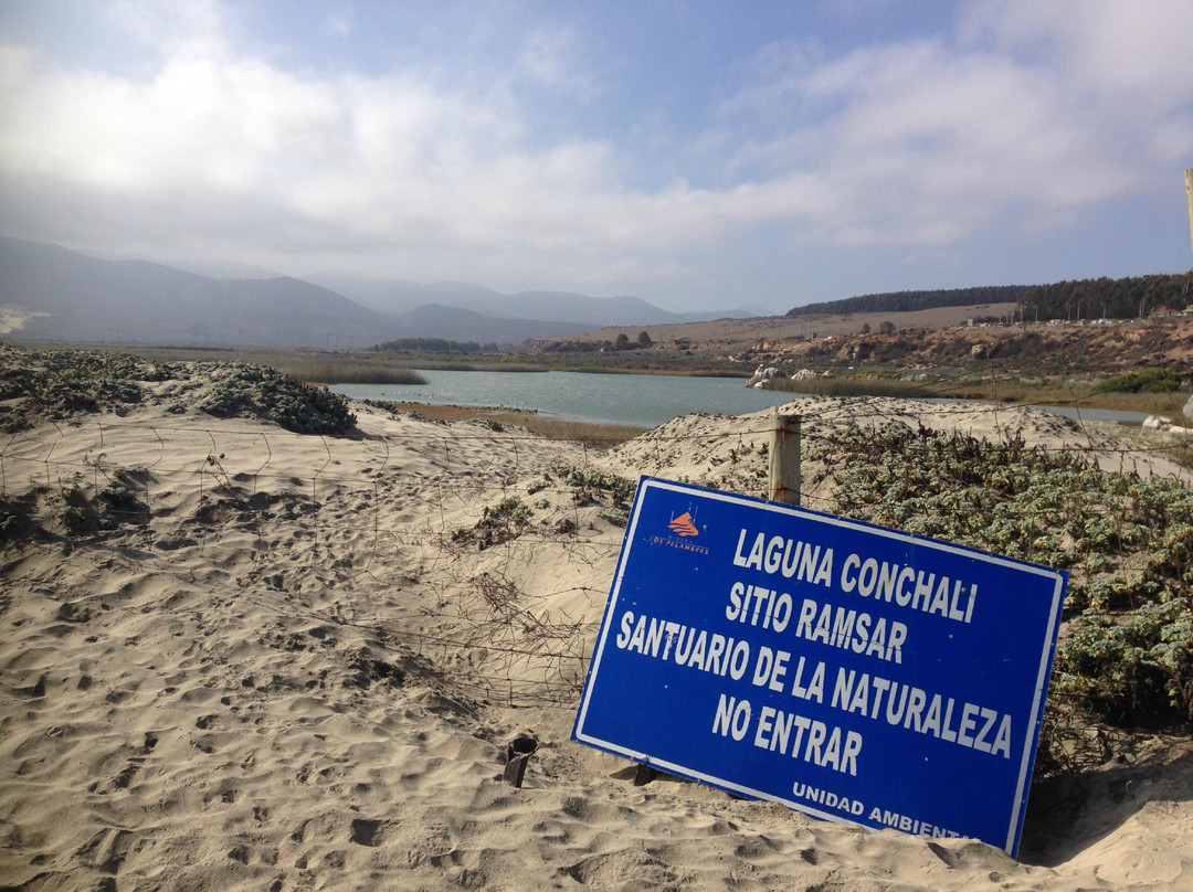 Humedal Laguna Conchali-Los Vilos必去景点