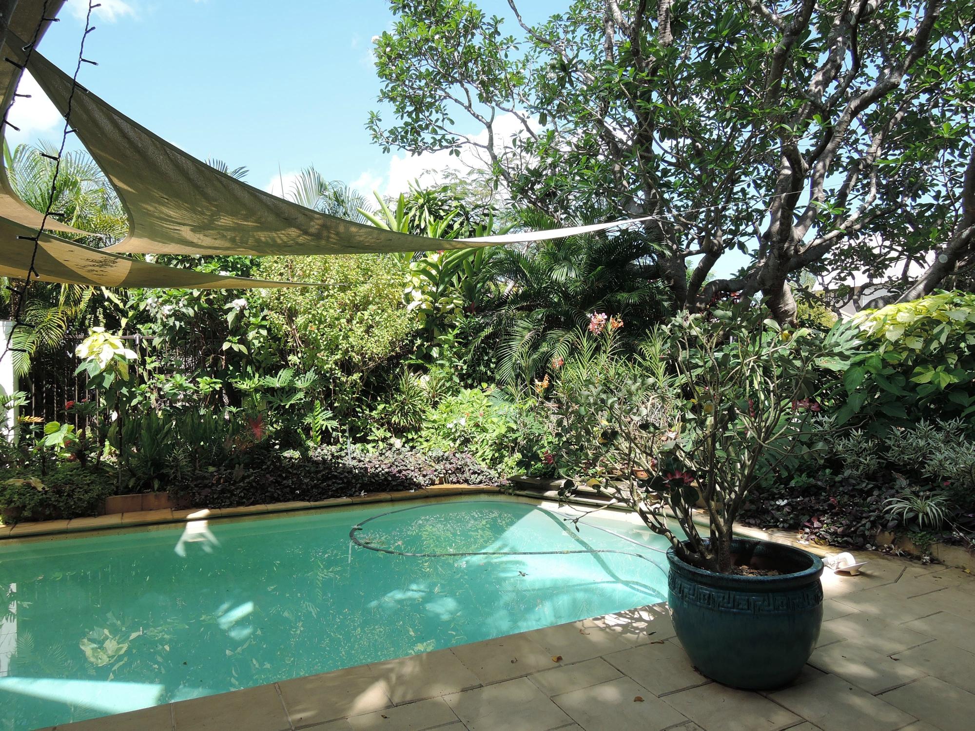 Lilly Pad B&B-泳池