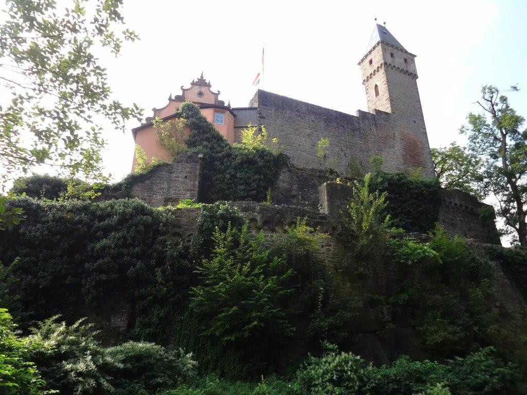 Schloss Hirschhorn景点图片