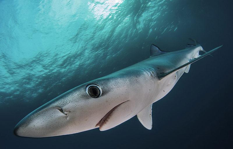 Oceans Africa Tours - Day Tours-Lakeside必去景点