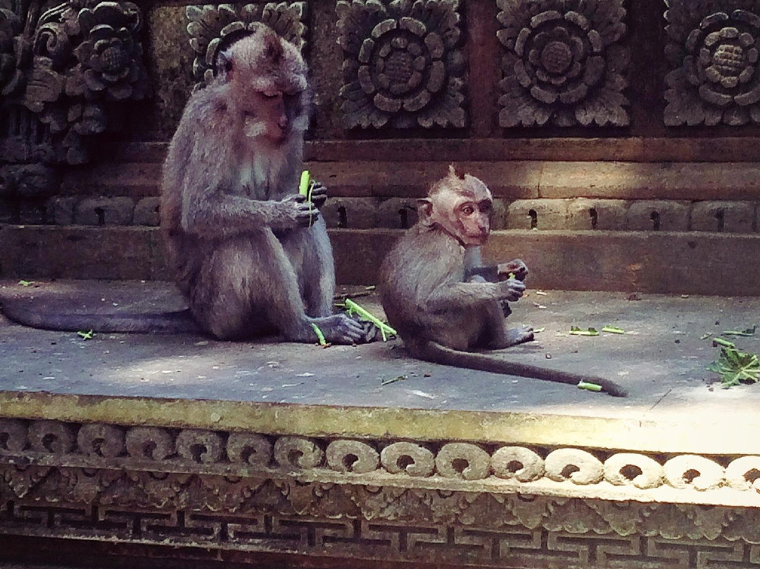 Plangon Monkey Forest and Tombs景点图片