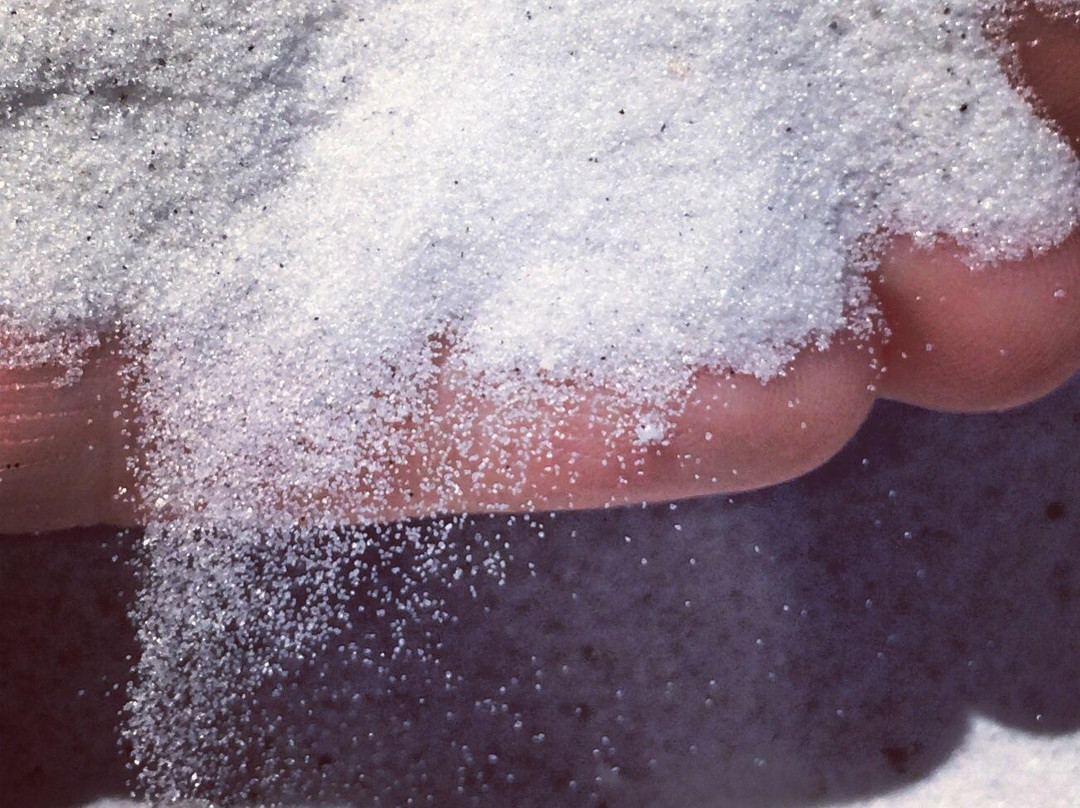 South Lido Park-萨拉索塔必去景点