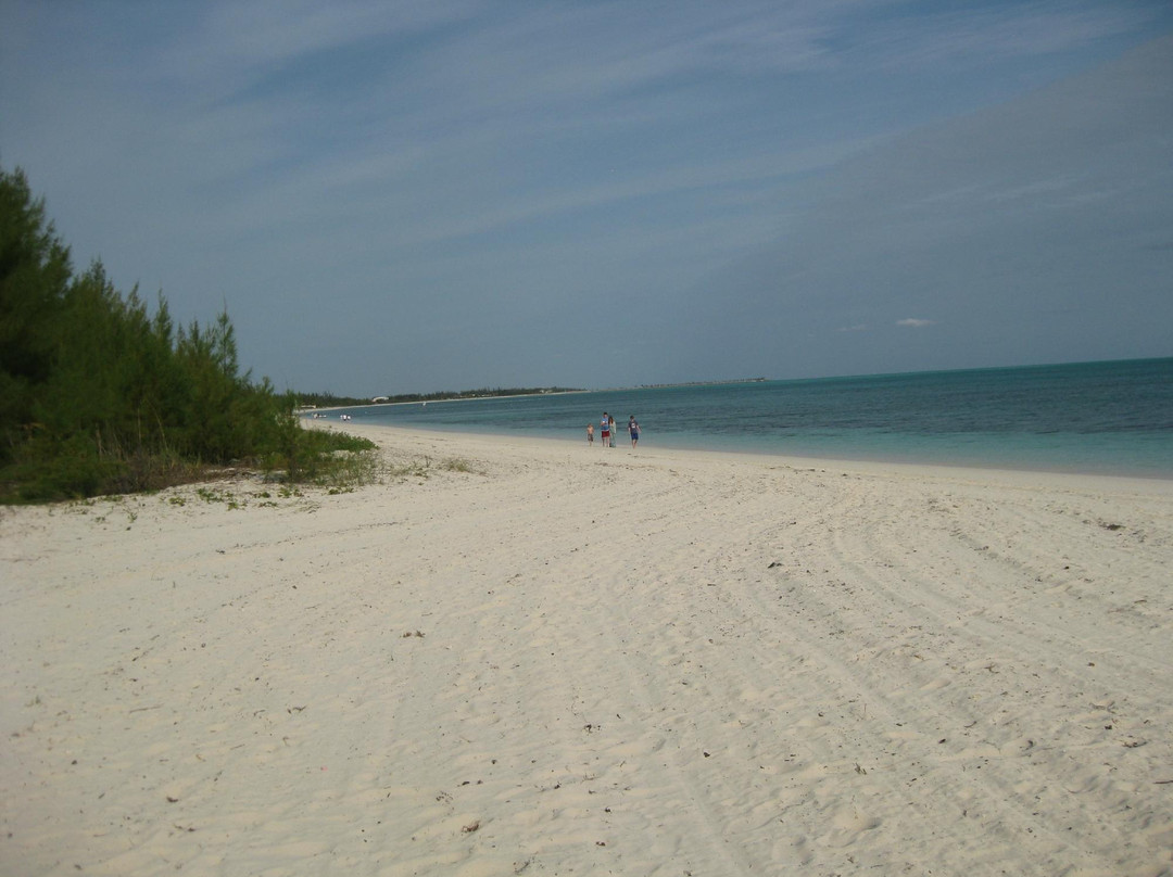 Bahamas Interisland Ecotours - Day Tours景点图片