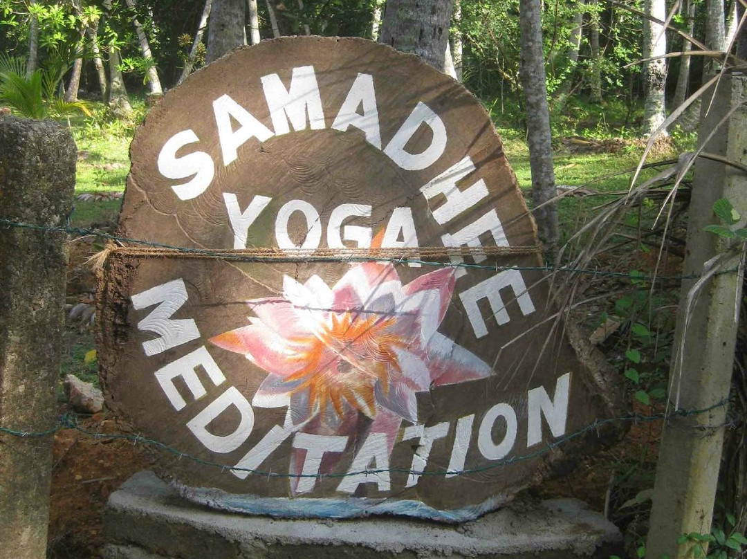 Samadhi Yoga Ashramaya景点图片