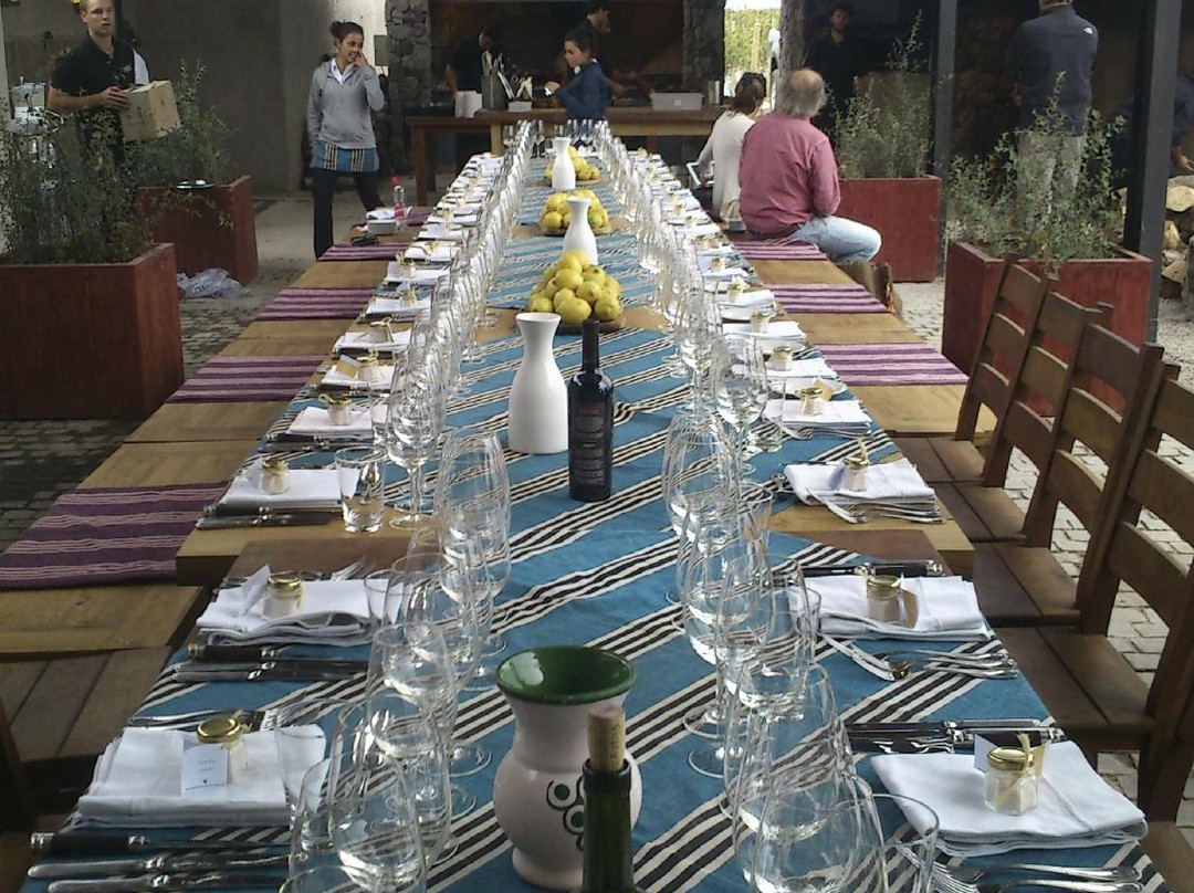 Mendoza Wine Camp-门多萨必去景点