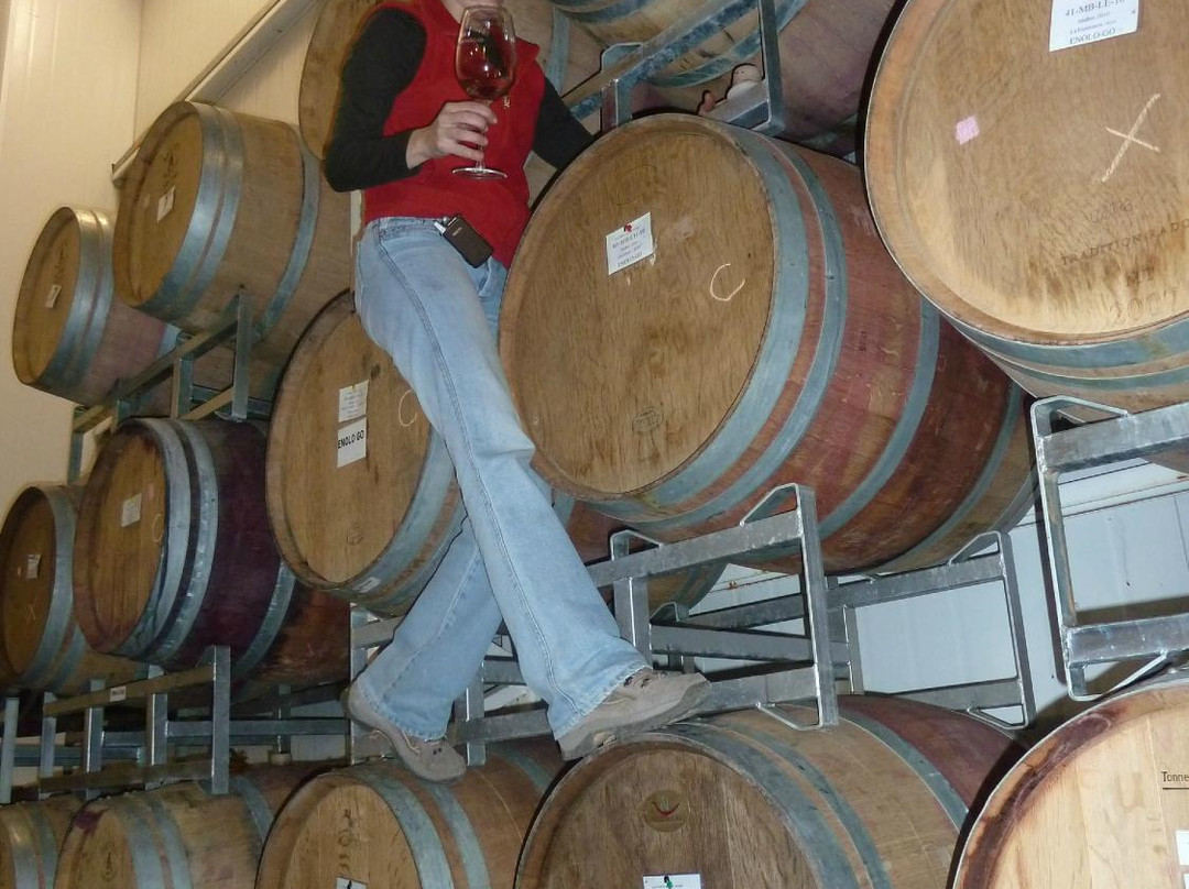 Mendoza Wine Camp-门多萨必去景点