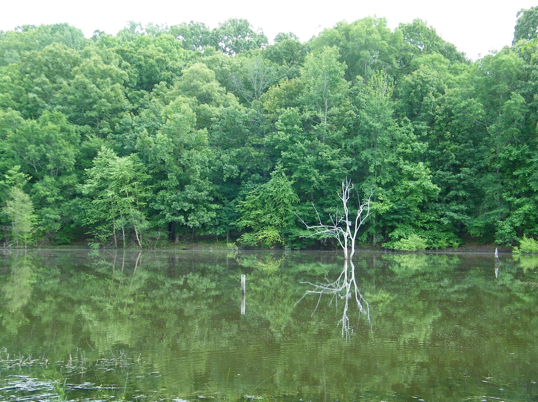Strawberry Plains Audubon Center景点图片