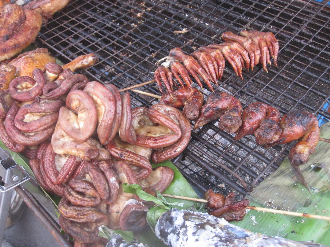 Phra Tamnak Kwan Phayao and Phayao Fresh-water Fishery Station-帕夭必去景点