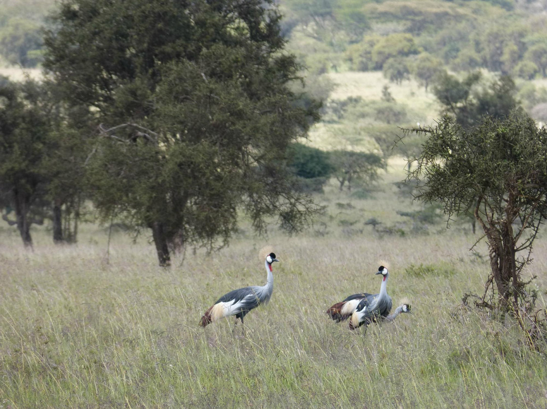 Maanzoni Sanctuary-Machakos必去景点