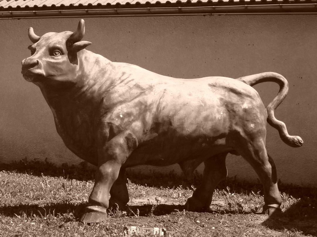 La Table des Bouchers