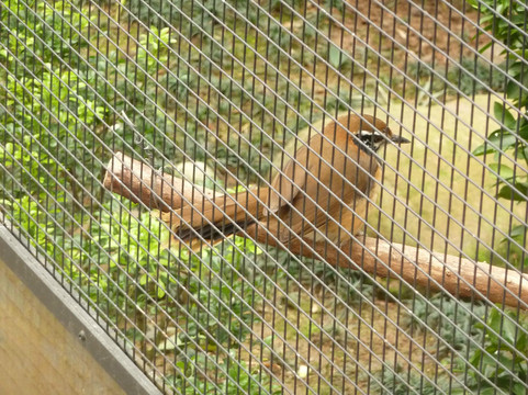 九龙公园-香港必去景点