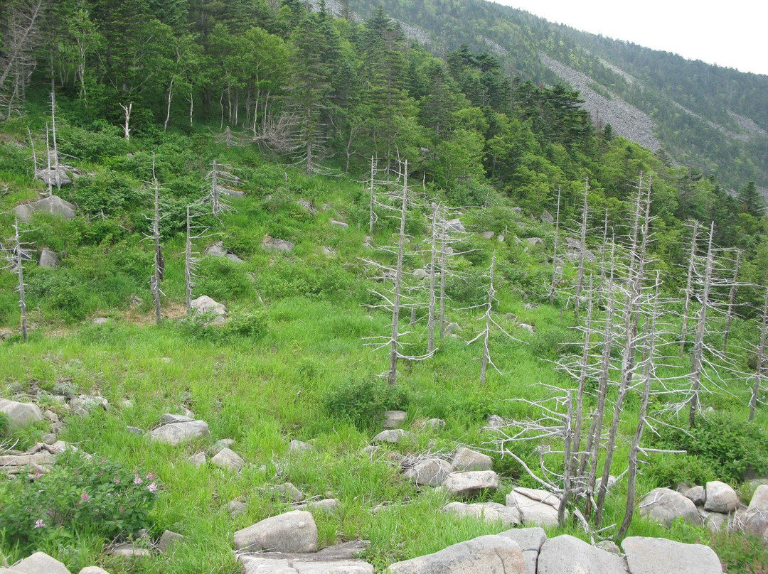 Livandyskaya Mountain-海参崴必去景点