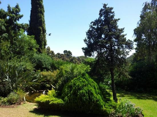 Delheim-斯泰伦博斯必去景点