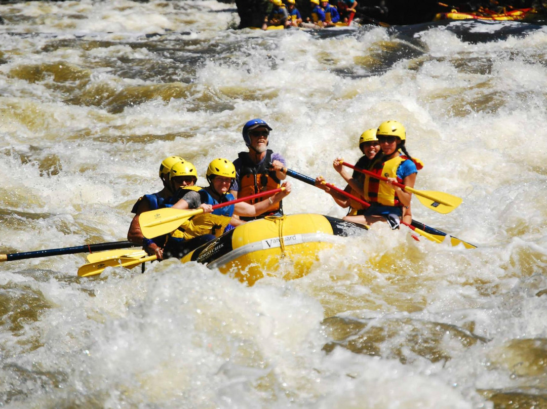 Indigo Creek Outfitters-Phoenix必去景点