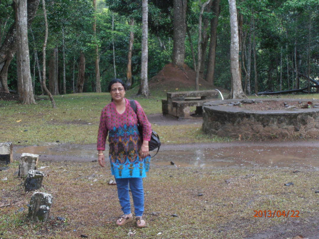 Blooming Paradise主图