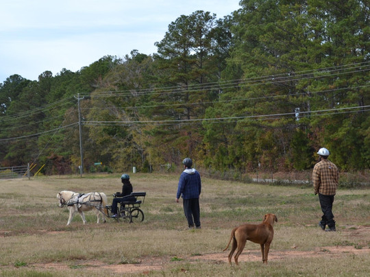Adopt-A-Horse Horseback Riding-卡温顿必去景点