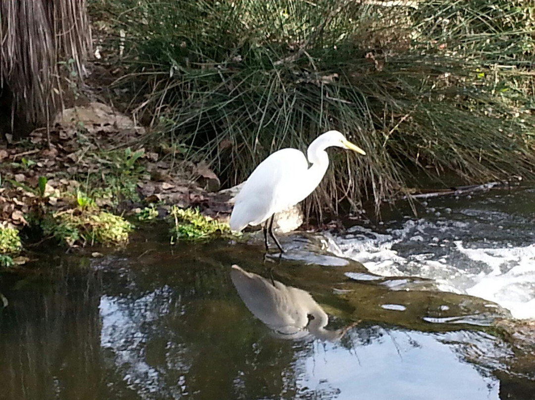 El Dorado Nature Center-长滩必去景点