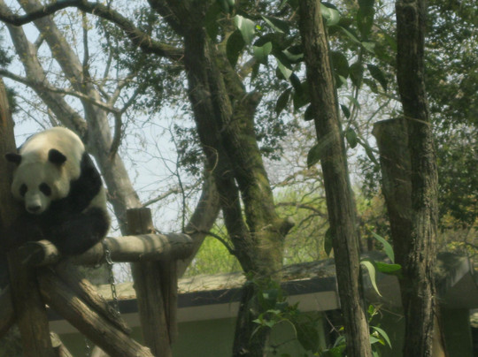 上海动物园-上海市必去景点