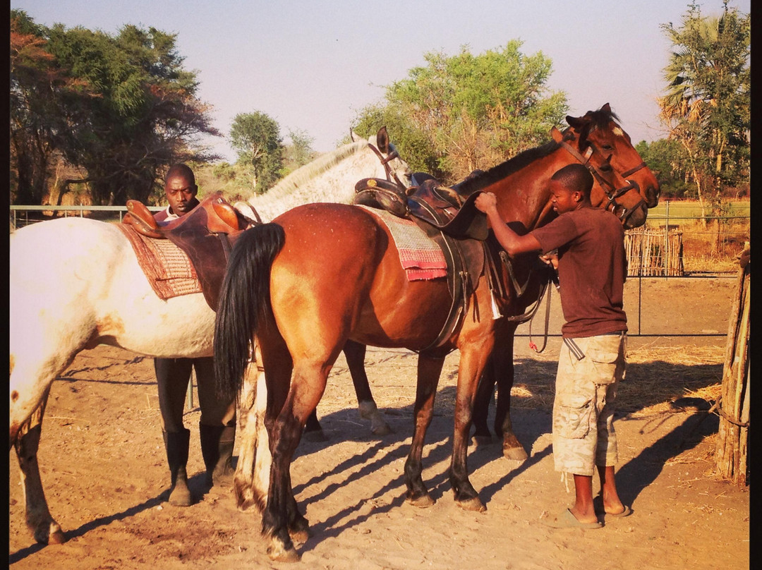 Ride Zambezi Private Trails