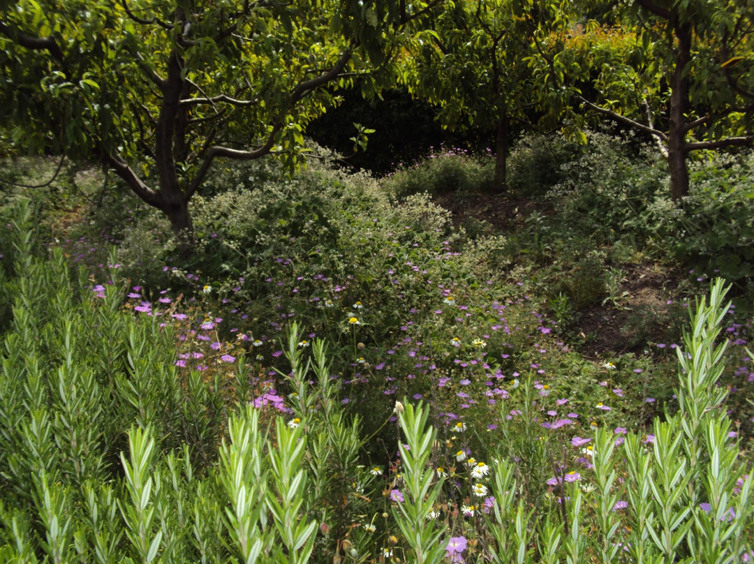 Babylonstoren-帕尔必去景点