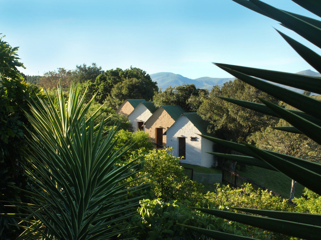 Monte Vista