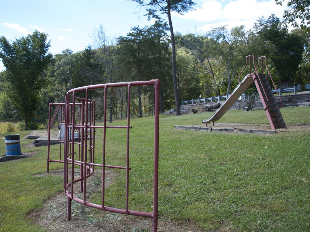 Alligator II Marina-Russell Springs必去景点