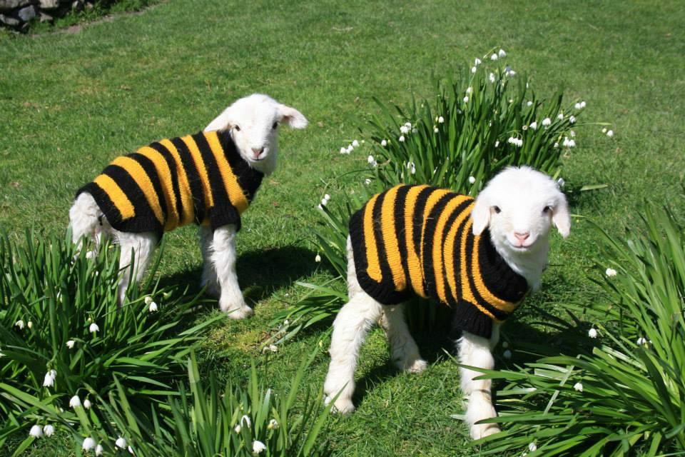 Stoney Oaks Wildlife Park-Inglewood必去景点