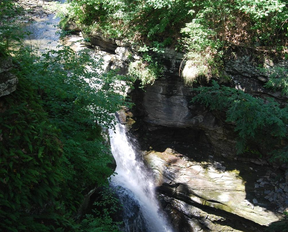 Mine Kill State Park-North Blenheim必去景点