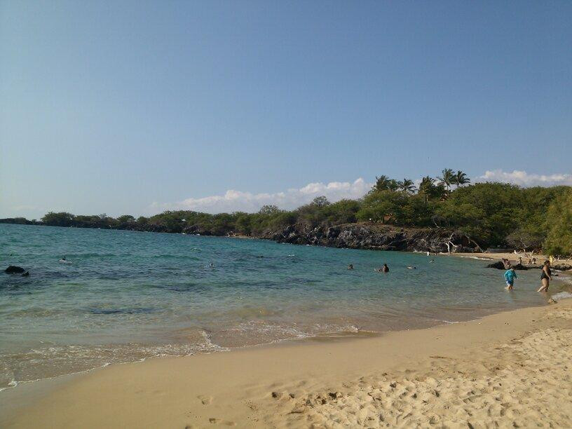 Waialea Beach-卡慕也拉必去景点