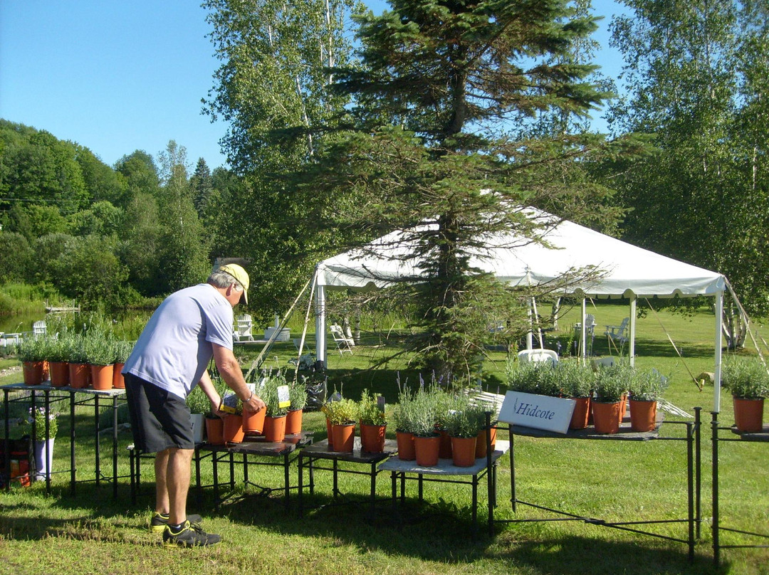 Joie de Lavande-Knowlton必去景点