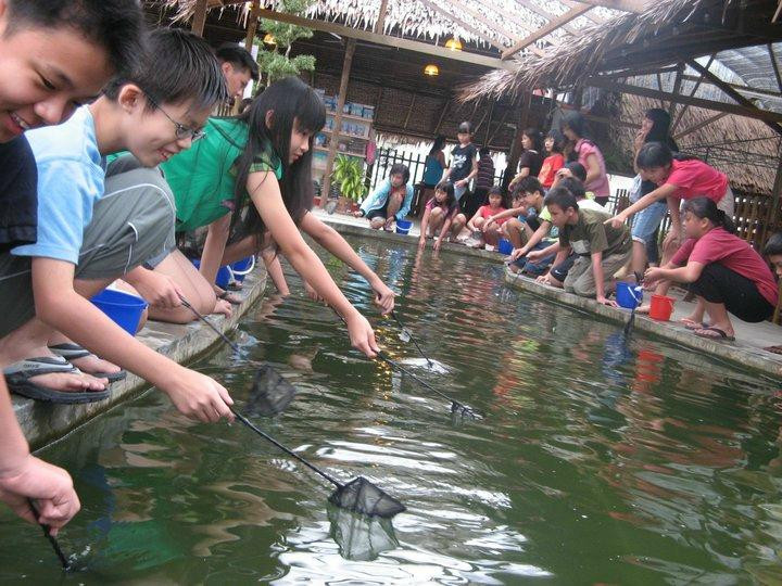 Zenxin Organic Park-居銮必去景点
