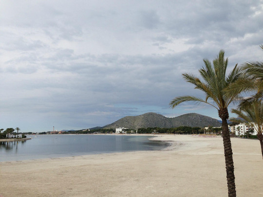 Alcudia Xperience Bus-阿尔库迪亚港必去景点