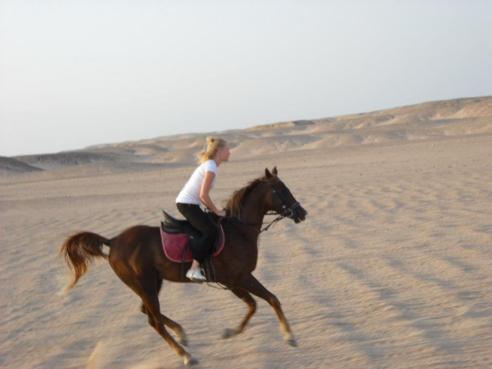 Gamila Stable Club Horse and Camel Riding-马卡迪湾必去景点
