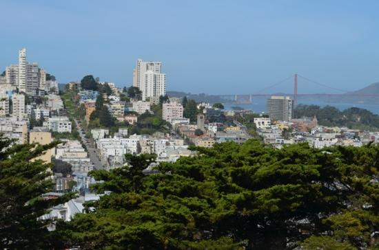 柯伊特塔-旧金山必去景点