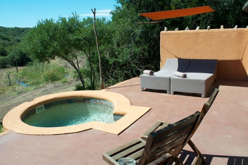 The Safari Lodge- Amakhala Game Reserve主图